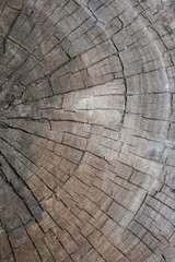 wood texture