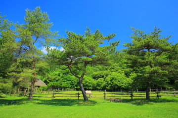 遠野　ふるさと村