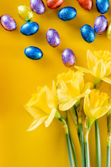 yellow narcissus and chocolate eggs