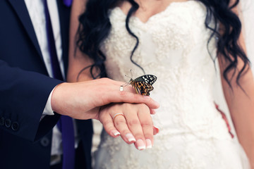 butterfly on hands the newlywed