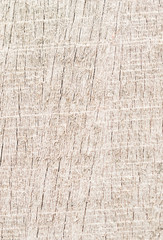 Texture of wood background