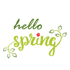 Hello Spring. Hand lettering, calligraphy inscription with spring leaves.