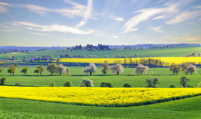 wiosenne pole   © Mike Mareen