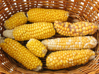 corn on the cob in the bottom basket, made ​​of twigs , homemade items , background from natural ingredients , environmental story