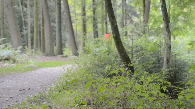 Cyclist Riding Mountain Bike on a Forest Track
