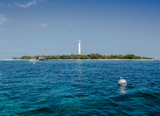 phare Amédée