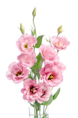 bunch of pink eustoma flowers in glass vase isolated on white