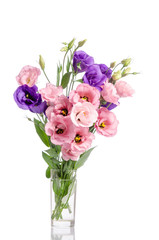bunch of violet and pink eustoma flowers in glass vase isolated