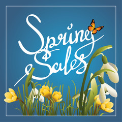 Fototapeta na wymiar Spring sales callygraphy background or square banner
