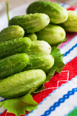 Fresh green cucumbers.