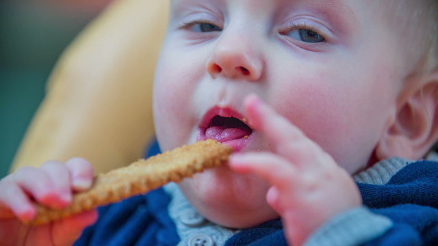 Blue eyes baby eating a cookie