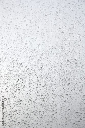 500_F_105080084_apJTiq8tKPxCxVfbC4nei6DI2HdGT2uu.jpg