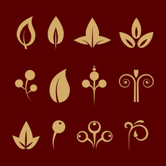 Ornamental design floral elements set