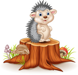 Adorable baby hedgehog sitting on tree stump