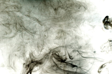 Gray smoke toxic on white background.