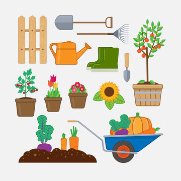 Gardening set. Illustration with gardening tools,wooden fence, flowers and plants in pots, gumboots, and wheelbarrow with vegetables.
