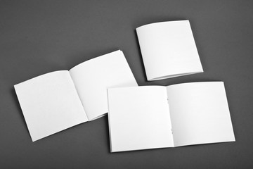 Blank catalog, brochure, magazines, book mock up.