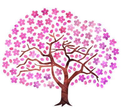桜の木　和紙