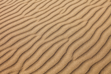 Huacachina desert dunes