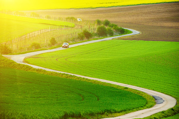 Obraz premium Rural sunny landscape with green fields, road and waves, South Moravia, Czech Republic