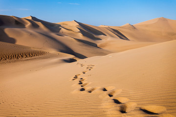 Fototapeta na wymiar Huacachina desert dunes