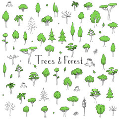 Hand drawn doodle Trees and Forest set Vector illustration tree icons Forest concept elements Tree isolated silhouette symbols collection Nature Forest clipart design Leaf Fir Ever green Branch Stump