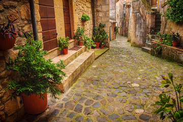 Narrow street of medieval ancient tuff city Sorano with green plants and cobblestone, travel Italy background