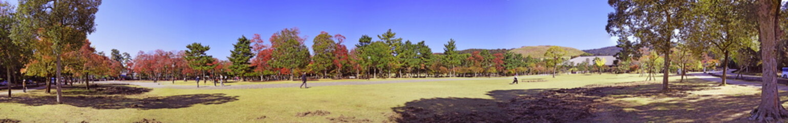 Panorama of  open space during Autumn in Nara, Japan - Photo taken on November 4th, 2015