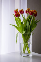 Bouquet tulip in a vase by the window.