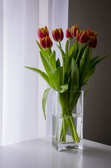 Bouquet tulip in a vase by the window.