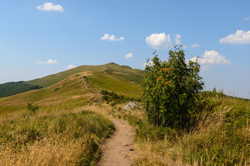 Bieszczady