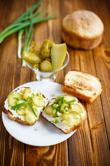 Vegetarian sandwich with cheese, pickles and herbs 