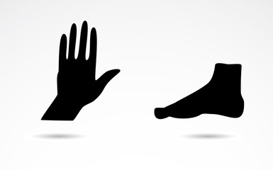 Human hand and foot vector icons.