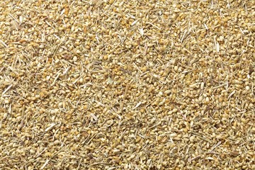 Common yarrow , Achillea , Milfoil © matin