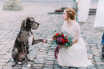 Smart dog gives a pow to the charming blond mistress-bride