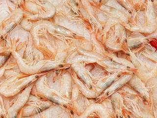shrimps on a stand in a spanish market