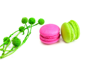 Colorful french macaroons on a white background.