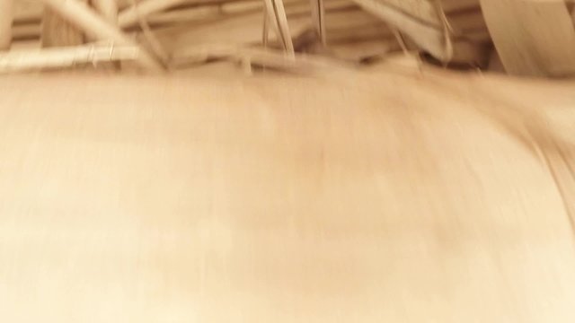 Little Bat Sitting Under The Roof of The House From The Dry Reed