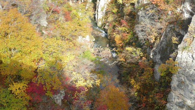 Osaki, Japan - 28 Oct, 2014 :  Bridge with leaves turning color in autumn in Naruko Gorge - Osaki, Miyagi, Japan