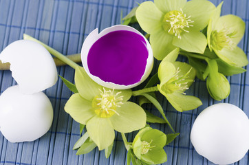 Easter decoration with spring flowers and egg shell