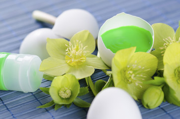Happy  Easter decoration with spring flowers and egg shell on a yellow pad