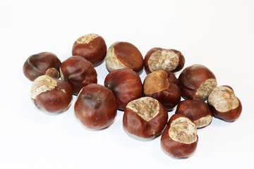 Conkers on white background