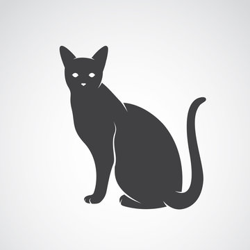 Vector image of an cat on a white background. Silhouette