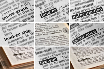 Obraz premium Politics Words Set