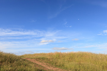 Fototapeta premium Walking track to the top of Mount Eden, Auckland, New Zealand.