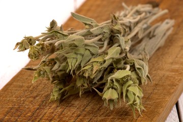 Griechischer Bergtee / Hirtentee