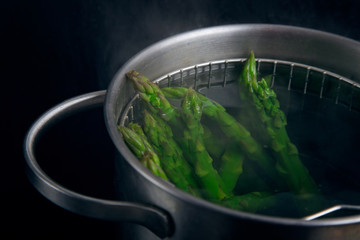 Asparagus in pot - 105100266