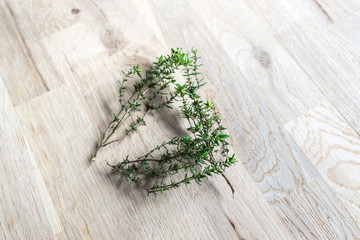 fresh branch of thyme on an oak tree cutting board