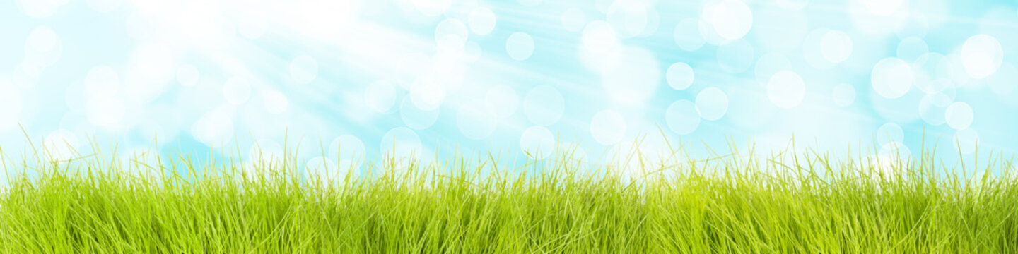 Gras Hintergrund mit blauem Himmel