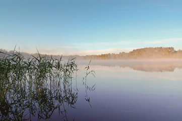 Early morning hour mist over beautiful lake in Estonia